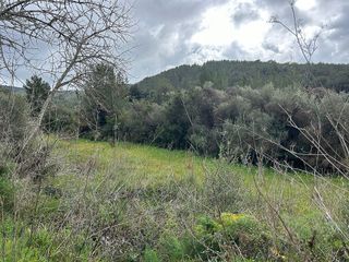 Terreno en venta en Sant Joan de Labritja