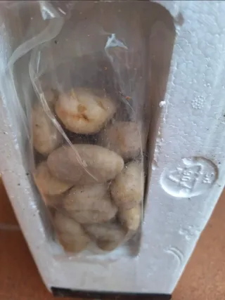 Chimenea Eléctrica Homcom Ref 820-088