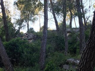 Terreno en venta en Vallirana