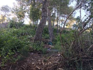 Terreno en venta en Vallirana