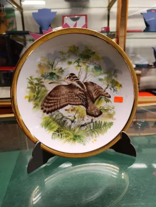 Plato de cerámica con Becada