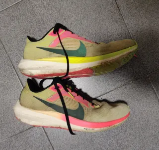 Nike Pegasus 40 Zapatillas Running