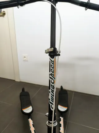 Patinete infantil 3 ruedas. Swing