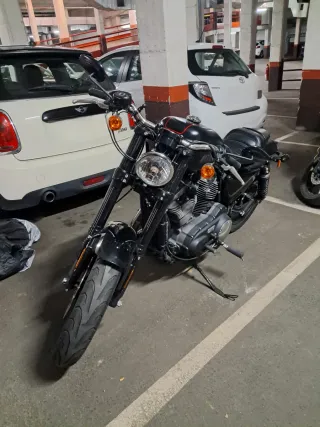 Harley-Davidson Roadster 1200