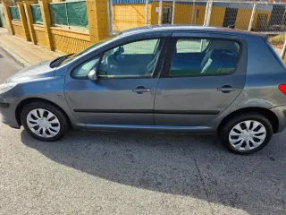 Peugeot 307 2005