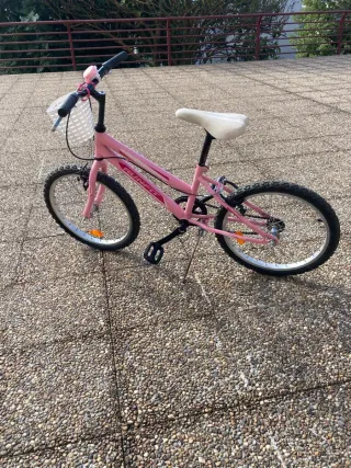 Bicicleta niña 20 rosa