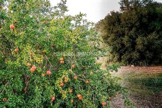 Solar en venta en Son Amonda - Reis Catòlics en Inca