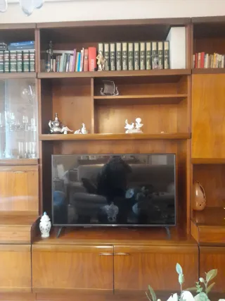 Mueble salón estilo Art Decó