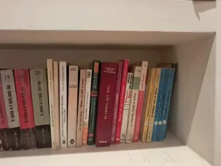 Libros de religión L1-1, precio por unidad