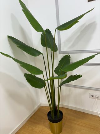 Planta Artificial Decorativa Grande