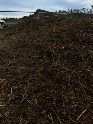 Estiércol de caballo con paja