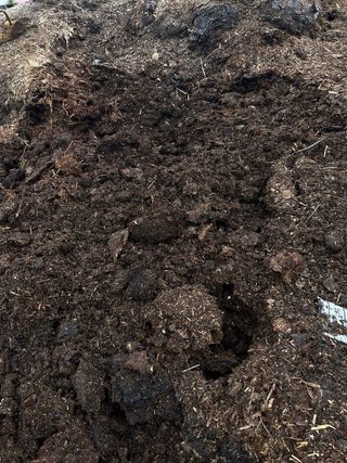 Estiércol de caballo con paja