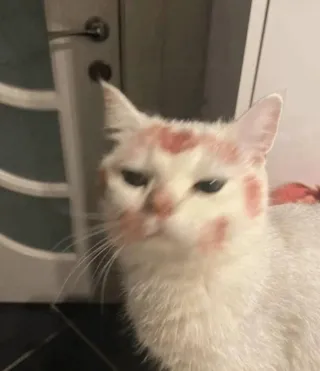 Caja de almacenamiento