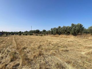 Chalet en venta en Guadix