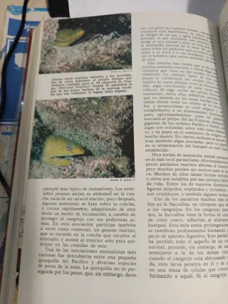 Enciclopedia de ciencias naturales