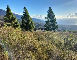 Terreno en venta en Arafo