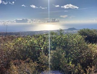 Terreno en venta en Arafo