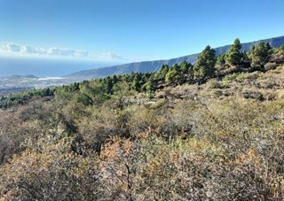 Terreno en venta en Arafo