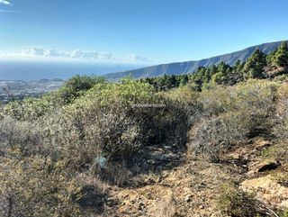 Terreno en venta en Arafo