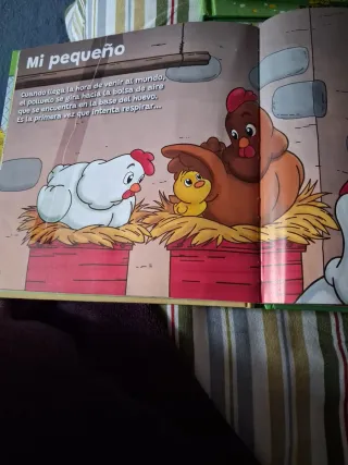 Cuentos infantiles varios titulos