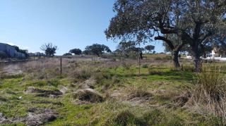 Terreno en venta en Norte en Mérida