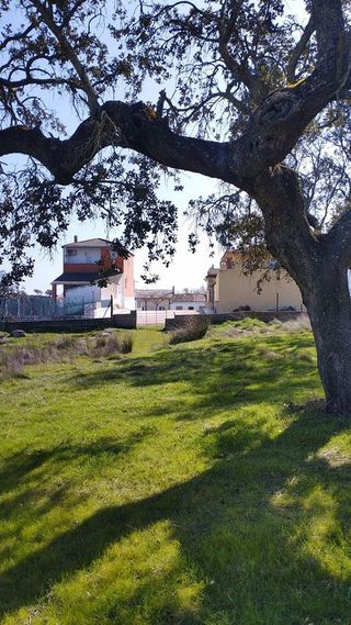 Terreno en venta en Norte en Mérida