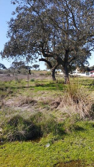 Terreno en venta en Norte en Mérida