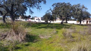 Terreno en venta en Norte en Mérida