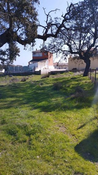 Terreno en venta en Norte en Mérida