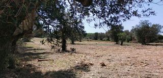 Solar en venta en Vila-seca pueblo en Vila-Seca