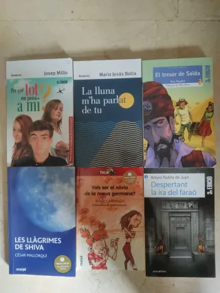 Lote literatura juvenil  en valenciano