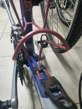 Cuadro Scapin Columbus Genius Talla M