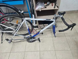 Cuadro Scapin Columbus Genius Talla M