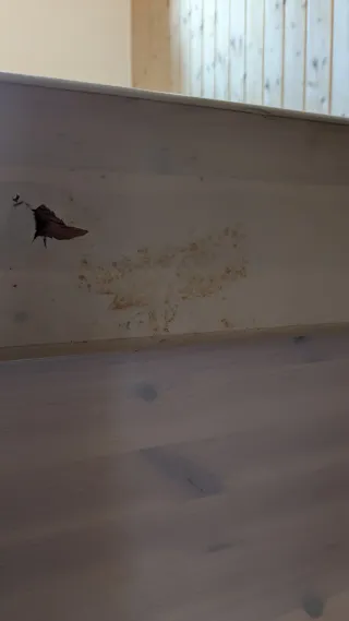 Estructura Llit FLEXA 190x90 amb calaixos