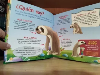 Colección de libros dinosaurios