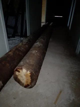 Bigas madera tratadas