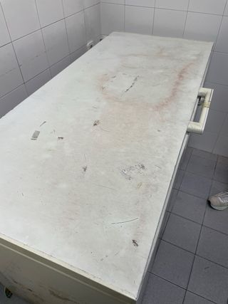 Arcón nevera congelador