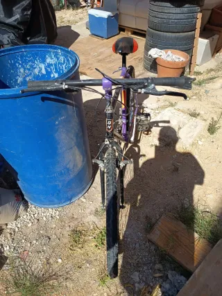 Bicicleta BH Supra morada