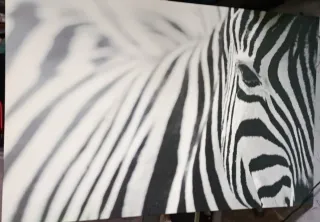 Cuadro Cebra Ikea Blanco y Negro