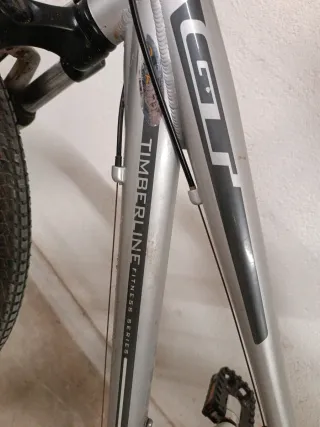 Bicicleta GT Plata