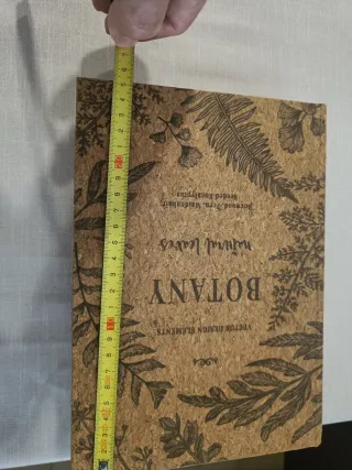 Collezione di Monete Antiche e libro-scatola