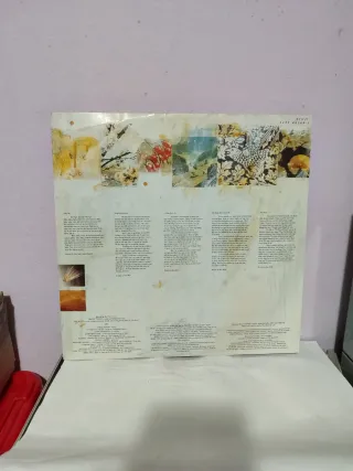 Vinilo Everything But the Girl - Language of Life