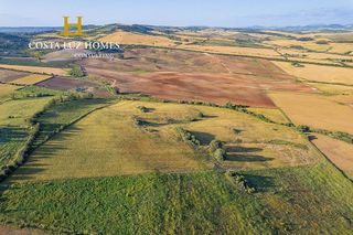 Terreno en venta en Arcos de la Frontera