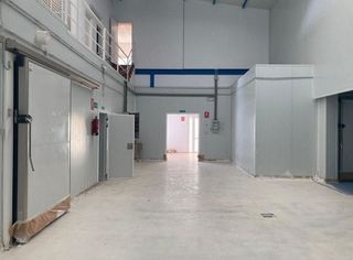 Nave industrial en venta en Barbate ciudad en Barbate