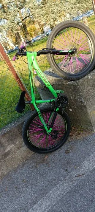 Mountain bike San Marco 26 (Con ritiro)