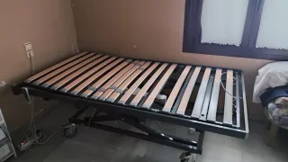 Cama ortopédica articulada