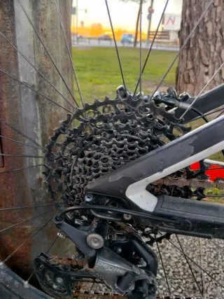 Mondraker Dune Carbón R