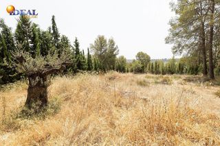 Terreno en venta en Albolote