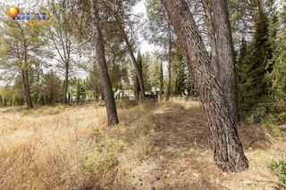 Terreno en venta en Albolote