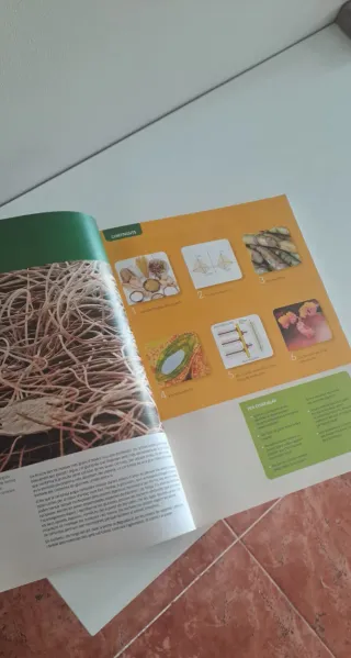 Biologia Serie Observa 1 Btx Saber Fer - 978849...